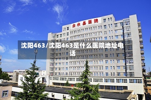 沈阳463/沈阳463是什么医院地址电话