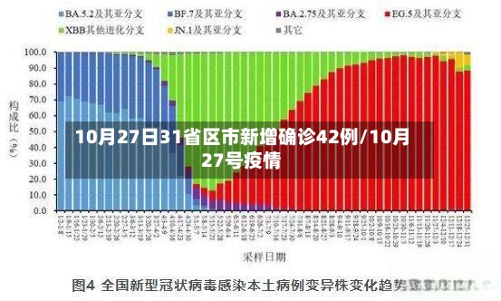 10月27日31省区市新增确诊42例/10月27号疫情-第3张图片