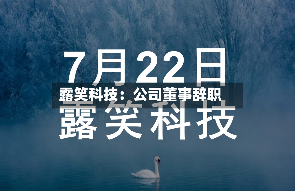 露笑科技：公司董事辞职-第2张图片