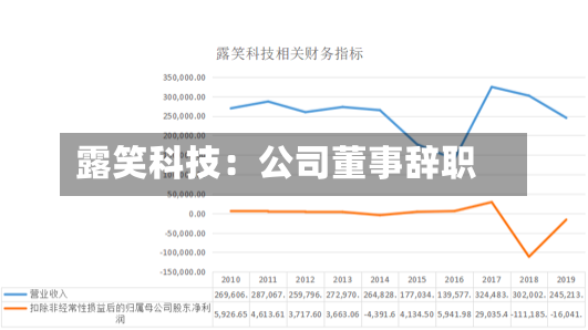 露笑科技：公司董事辞职-第3张图片