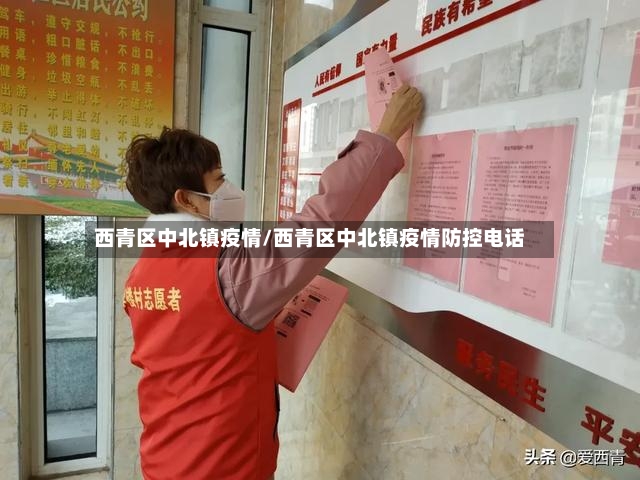 西青区中北镇疫情/西青区中北镇疫情防控电话-第2张图片