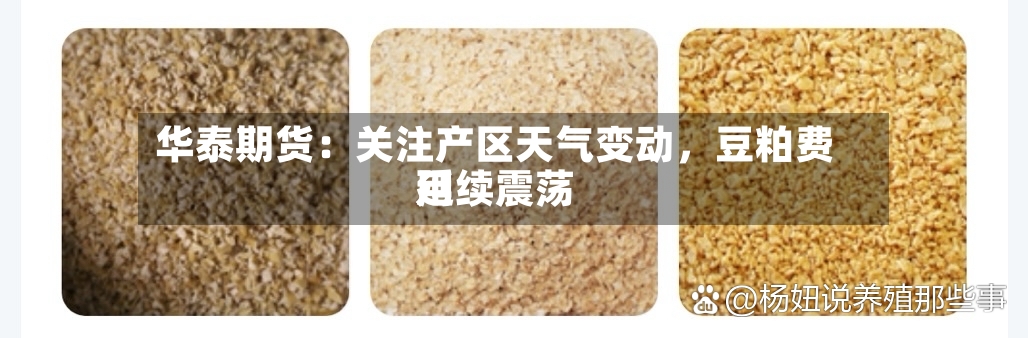 华泰期货：关注产区天气变动，豆粕费用延续震荡
