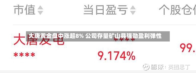 大唐黄金盘中涨超8% 公司存量矿山具强劲盈利弹性