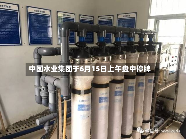 中国水业集团于6月15日上午盘中停牌-第2张图片