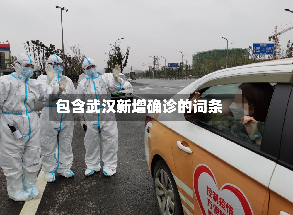 包含武汉新增确诊的词条-第2张图片
