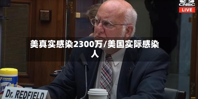 美真实感染2300万/美国实际感染人-第2张图片