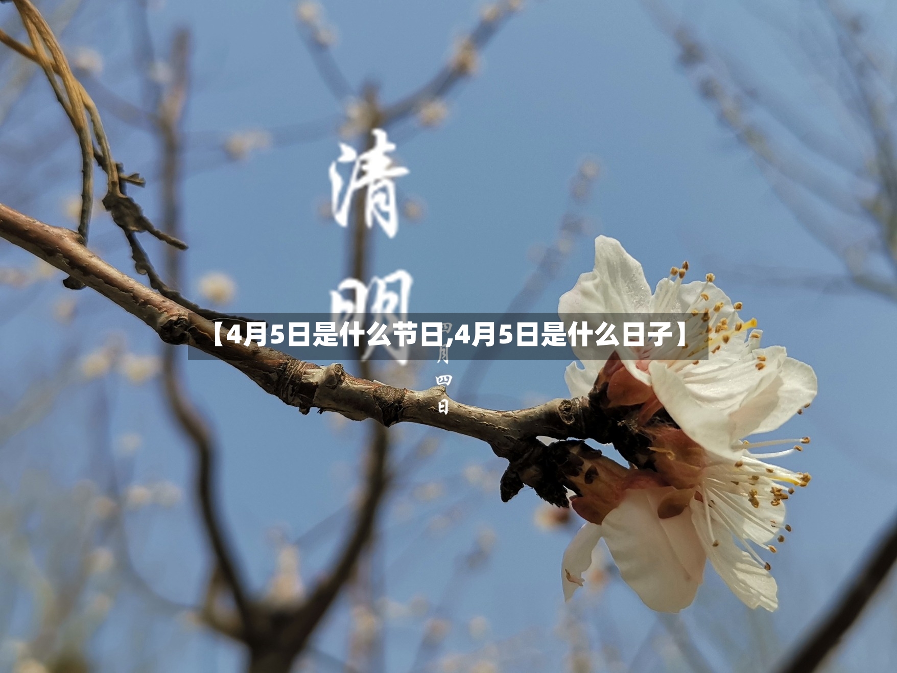 【4月5日是什么节日,4月5日是什么日子】