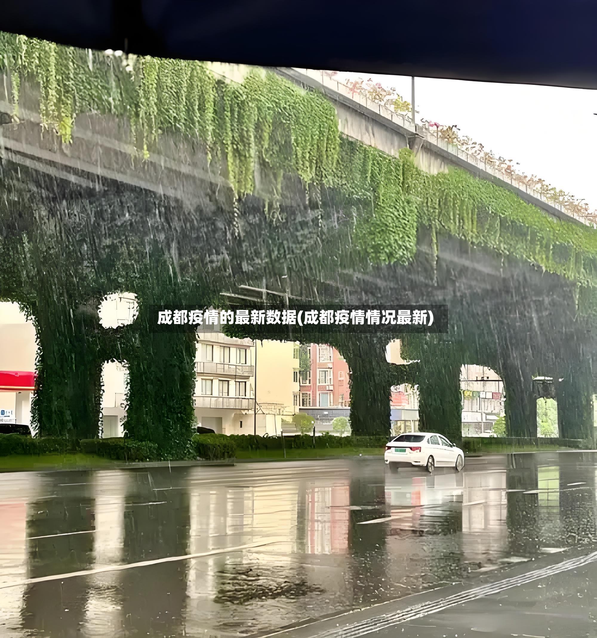 成都疫情的最新数据(成都疫情情况最新)-第2张图片