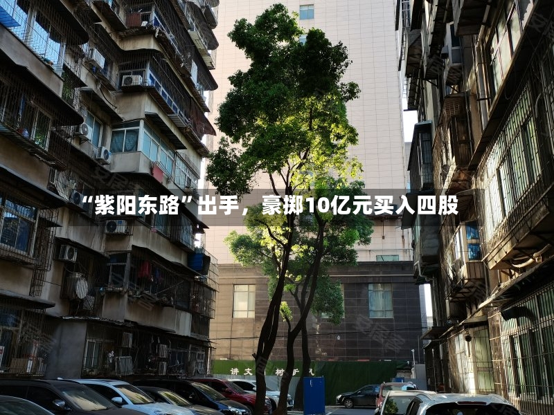 “紫阳东路	”出手	，豪掷10亿元买入四股-第3张图片