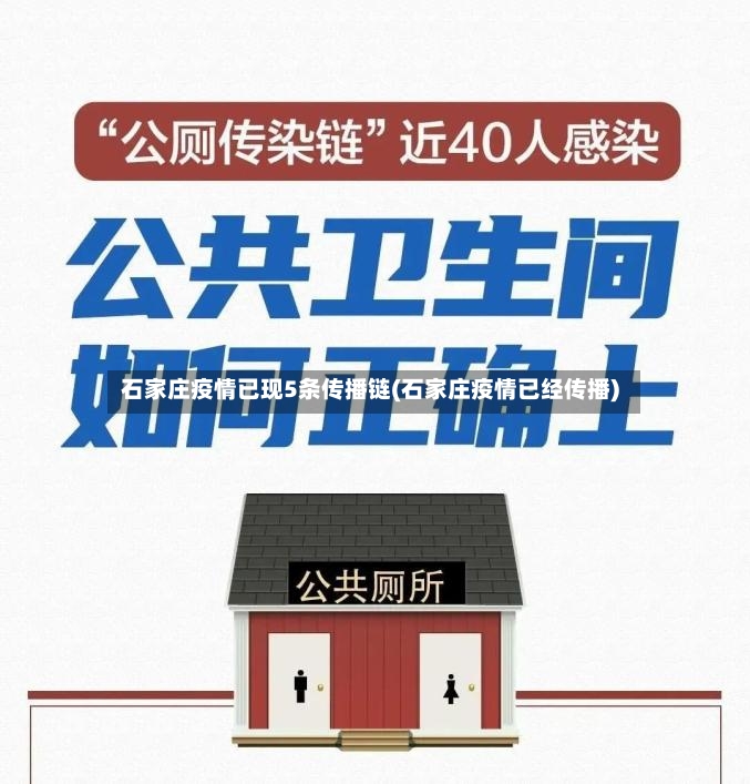 石家庄疫情已现5条传播链(石家庄疫情已经传播)-第2张图片