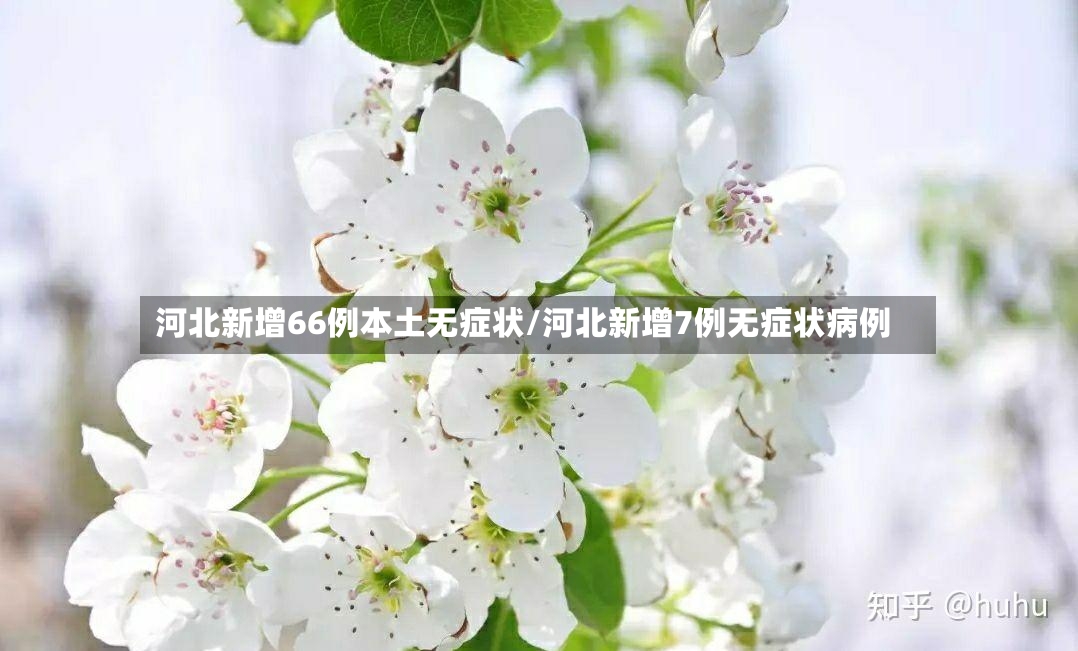 河北新增66例本土无症状/河北新增7例无症状病例-第3张图片