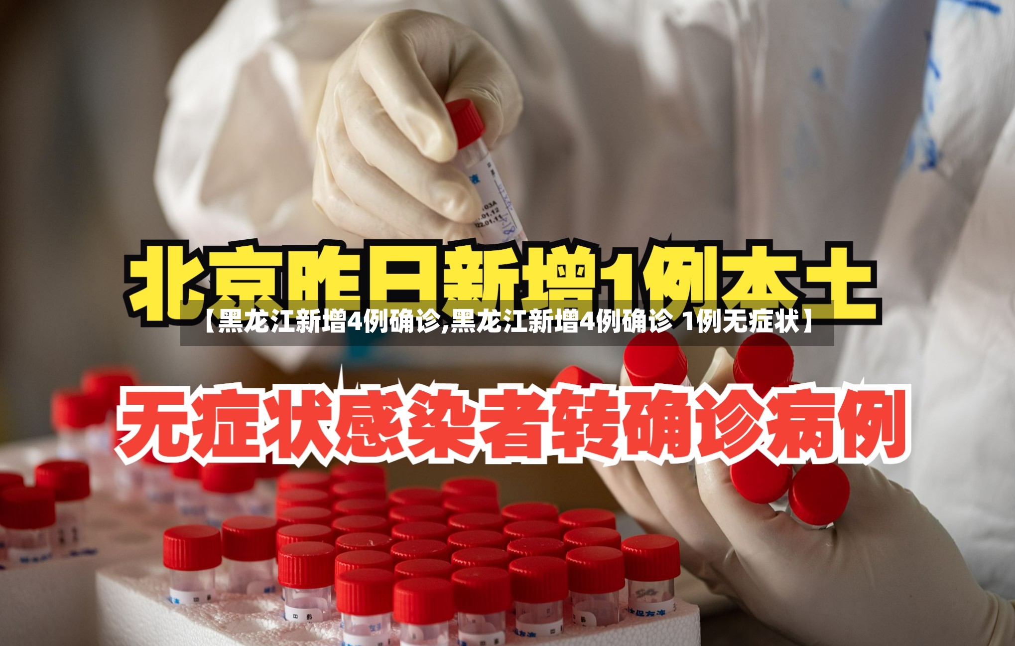 【黑龙江新增4例确诊,黑龙江新增4例确诊 1例无症状】-第2张图片