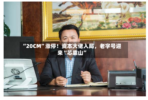 “20CM”涨停！资本大佬入局，老字号迎来“芯靠山”