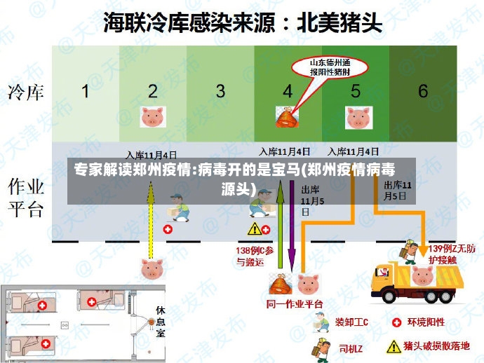 专家解读郑州疫情:病毒开的是宝马(郑州疫情病毒源头)