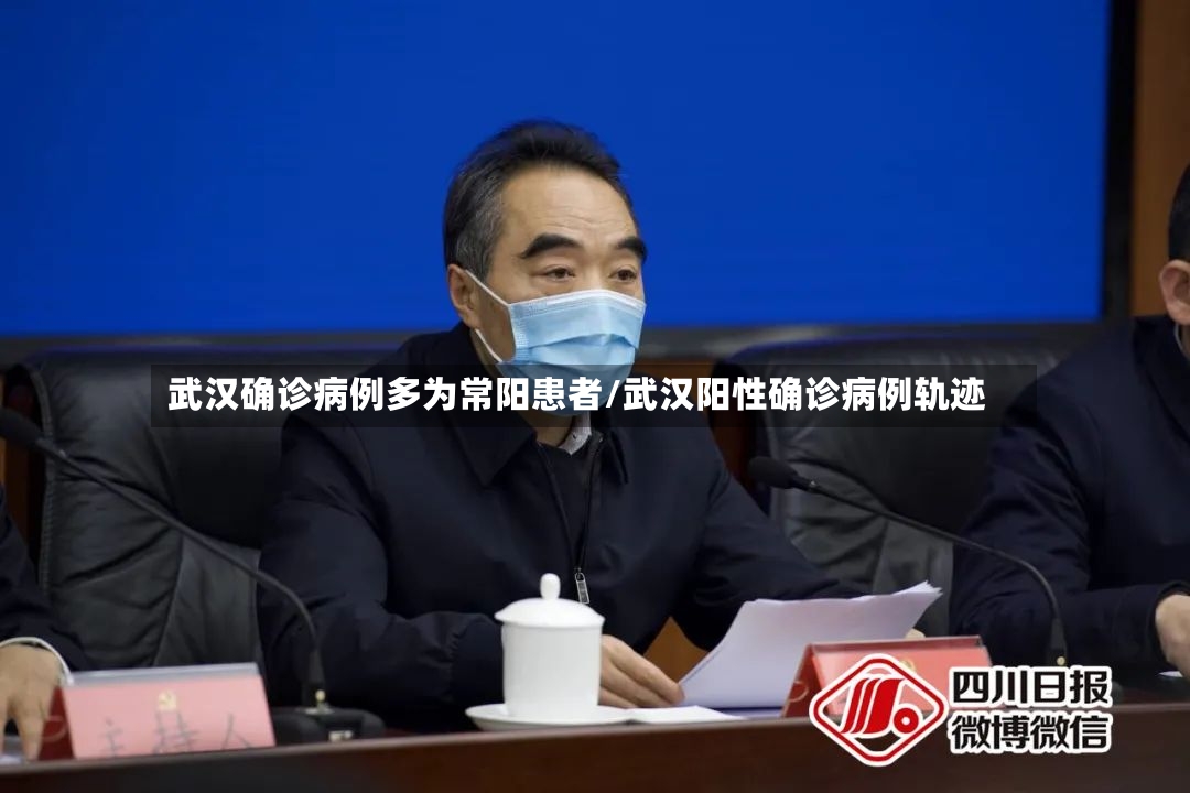 武汉确诊病例多为常阳患者/武汉阳性确诊病例轨迹-第2张图片