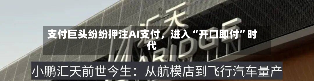 支付巨头纷纷押注AI支付，进入“开口即付	”时代-第2张图片