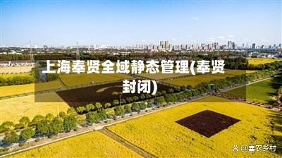 上海奉贤全域静态管理(奉贤 封闭)-第3张图片