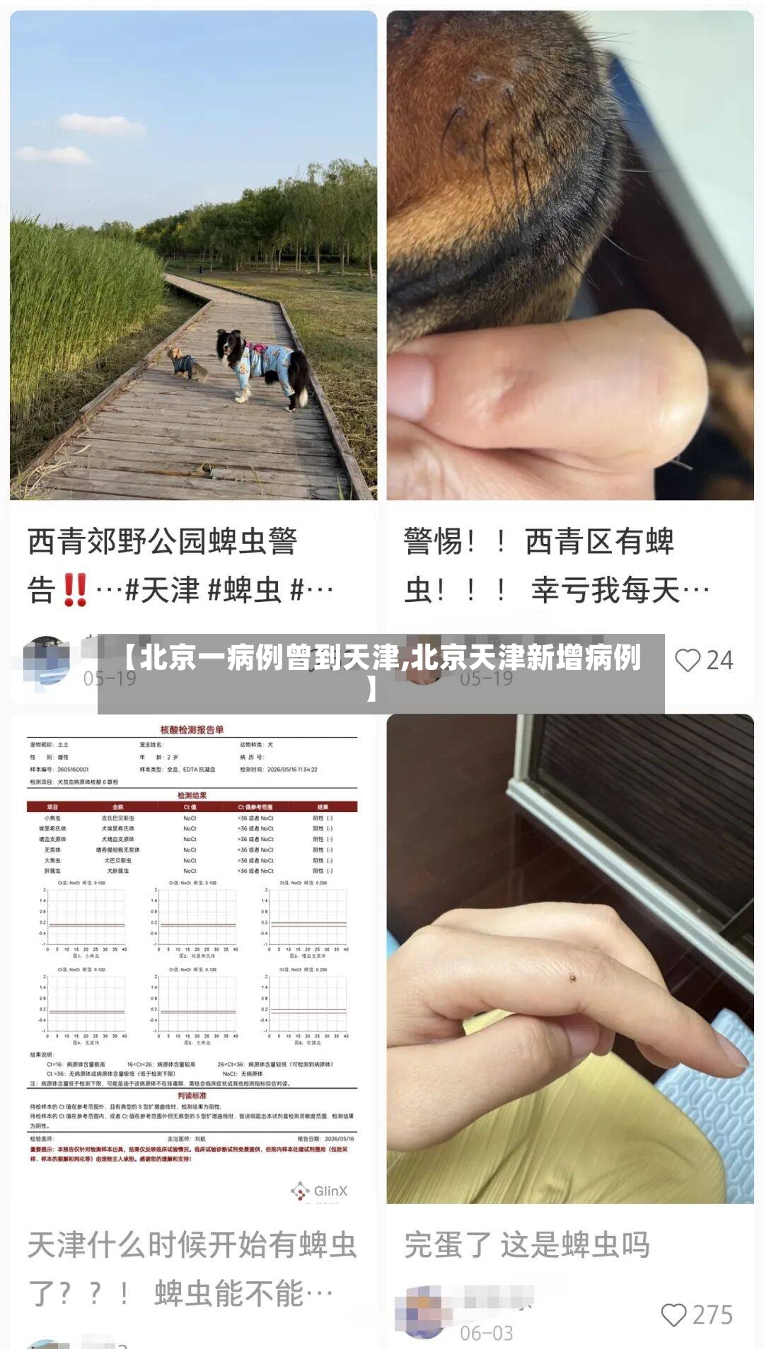 【北京一病例曾到天津,北京天津新增病例】