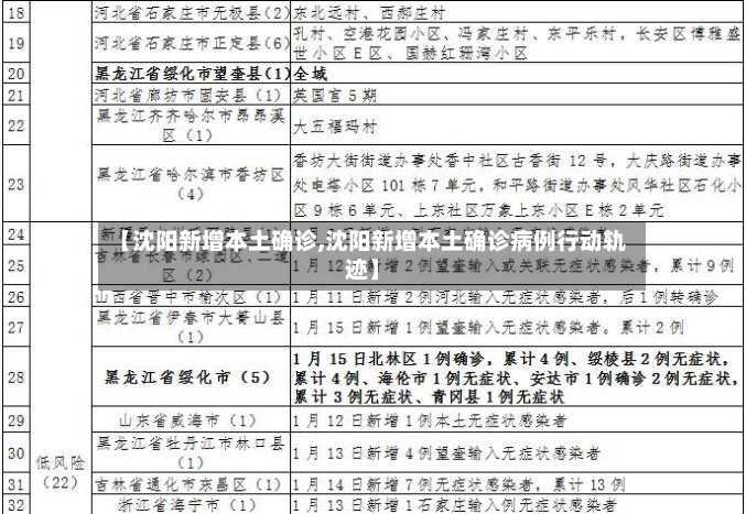 【沈阳新增本土确诊,沈阳新增本土确诊病例行动轨迹】-第2张图片