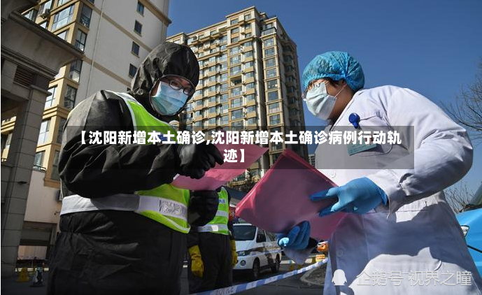 【沈阳新增本土确诊,沈阳新增本土确诊病例行动轨迹】-第3张图片