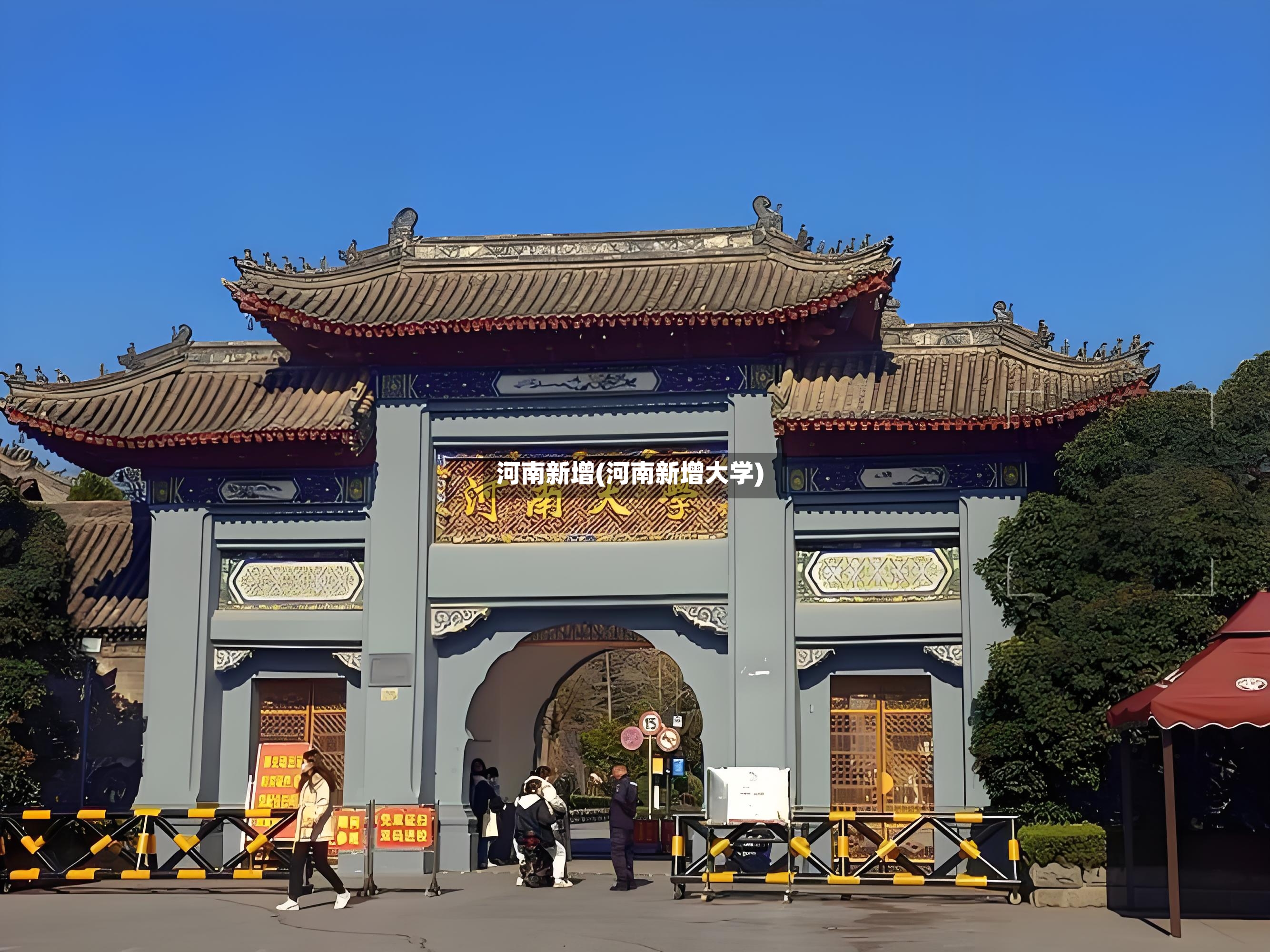 河南新增(河南新增大学)