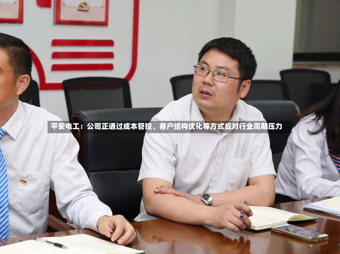 平安电工：公司正通过成本管控、客户结构优化等方式应对行业周期压力-第3张图片