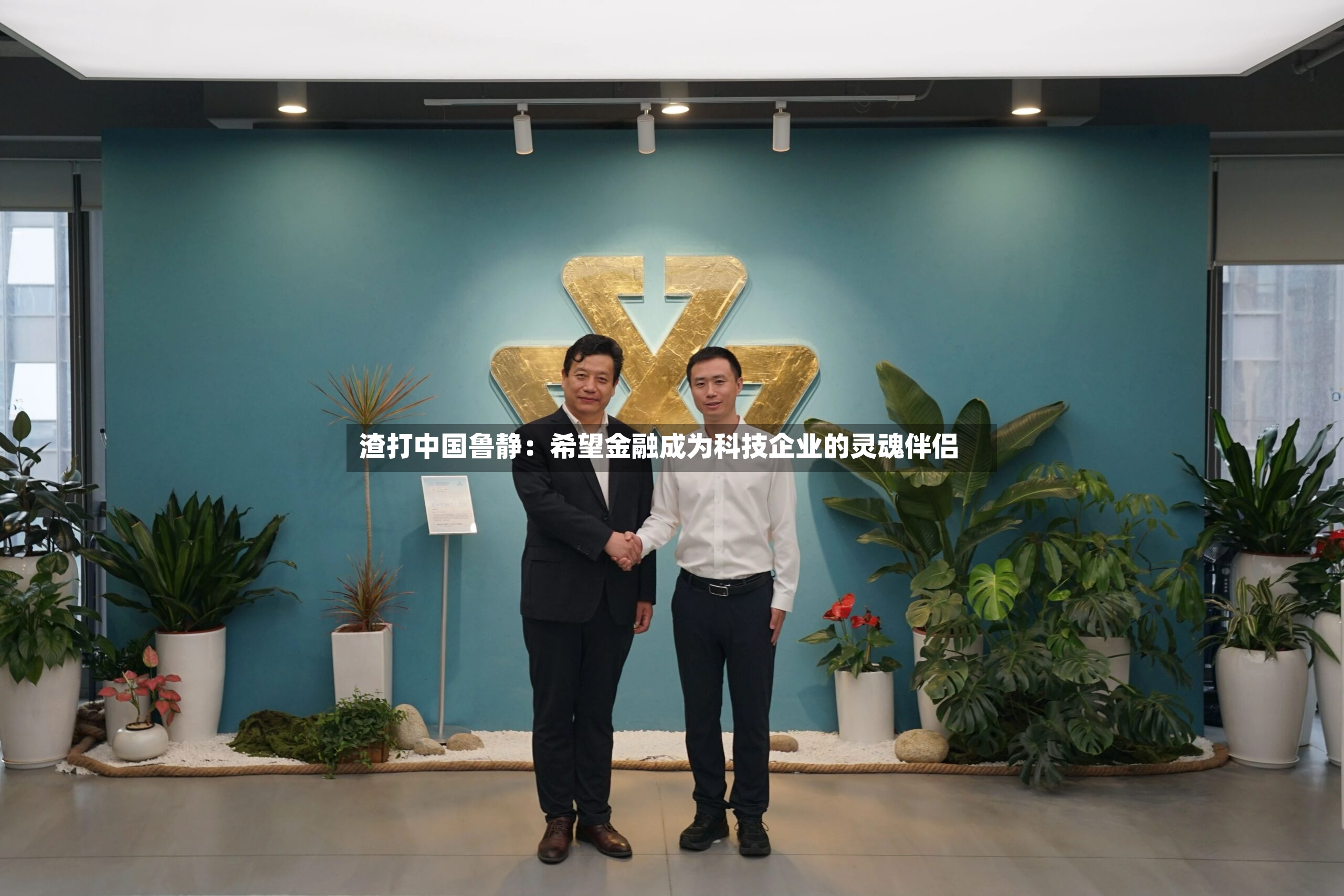 渣打中国鲁静：希望金融成为科技企业的灵魂伴侣