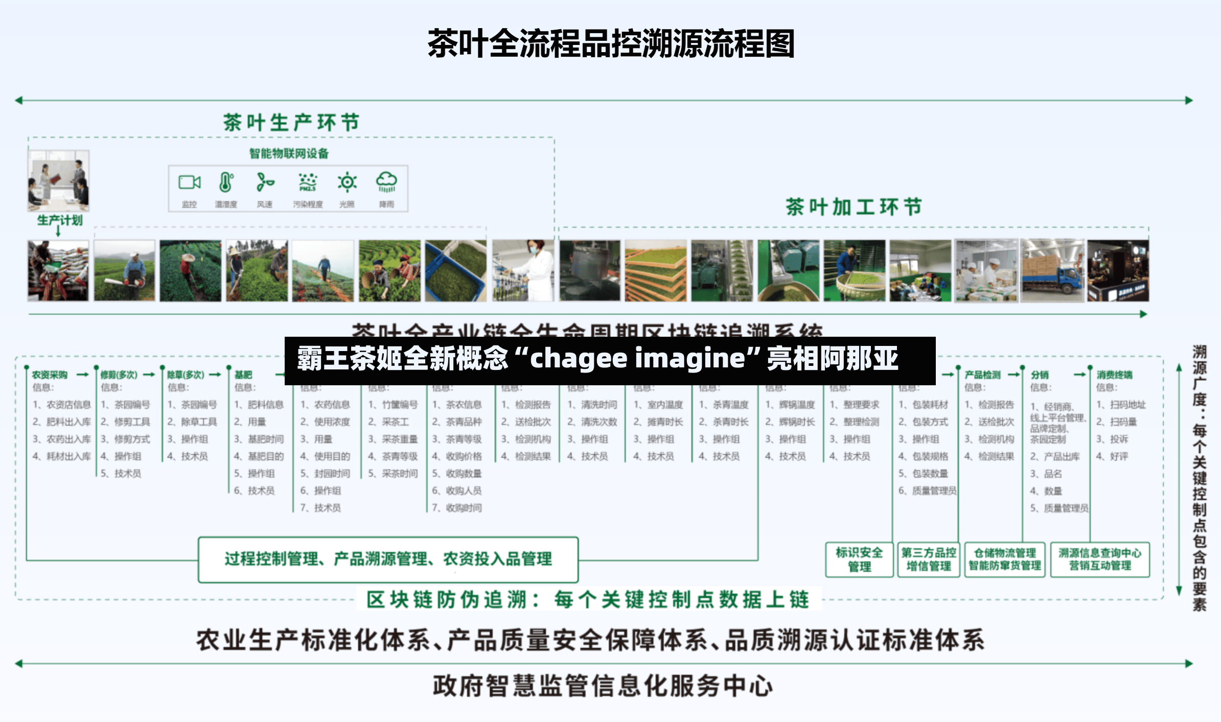 霸王茶姬全新概念“chagee imagine”亮相阿那亚-第3张图片