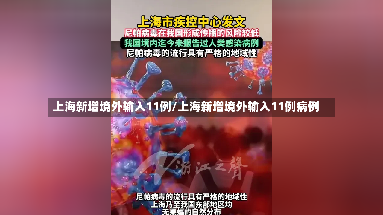 上海新增境外输入11例/上海新增境外输入11例病例