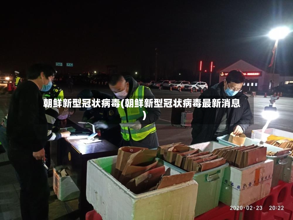 朝鲜新型冠状病毒(朝鲜新型冠状病毒最新消息)