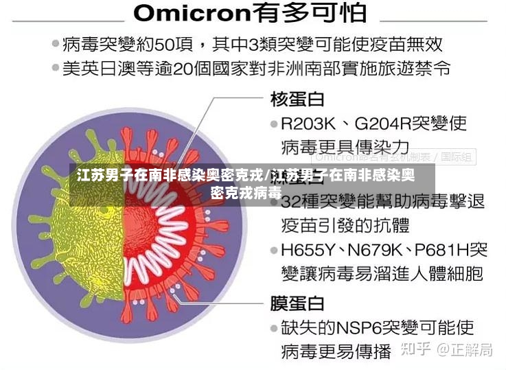 江苏男子在南非感染奥密克戎/江苏男子在南非感染奥密克戎病毒-第2张图片