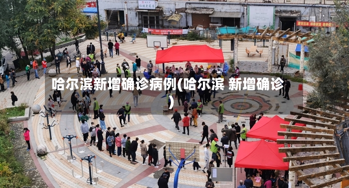 哈尔滨新增确诊病例(哈尔滨 新增确诊)-第2张图片