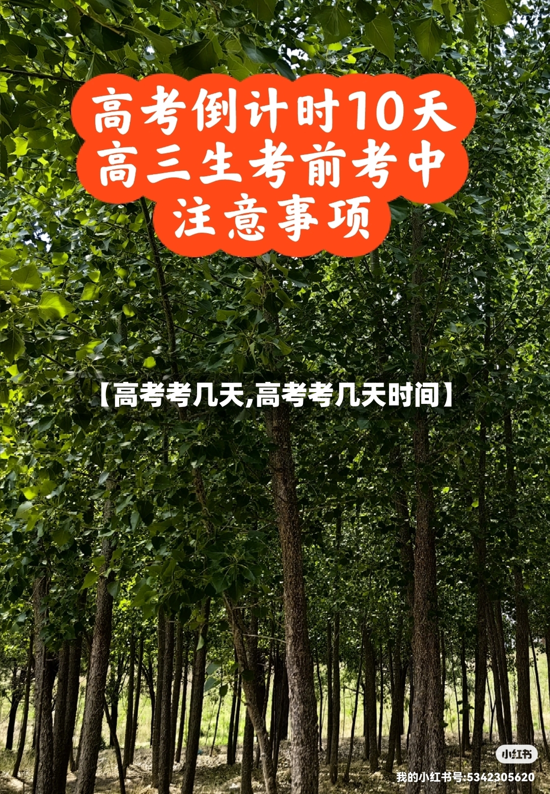 【高考考几天,高考考几天时间】-第3张图片