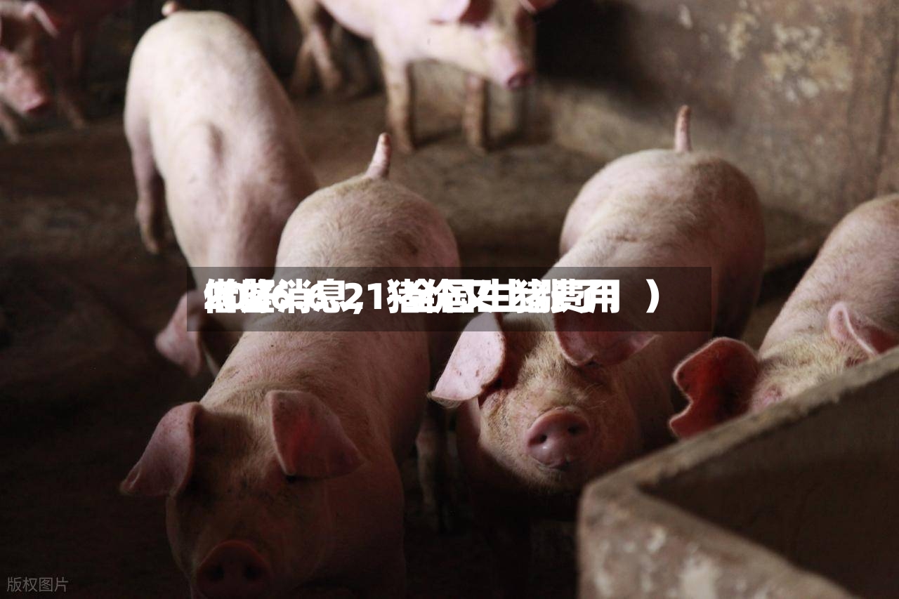 2026.6.21-全国生猪费用借鉴（好消息	，猪价又上涨了！）-第2张图片