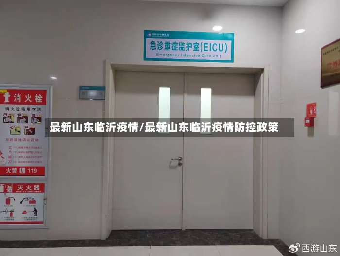 最新山东临沂疫情/最新山东临沂疫情防控政策