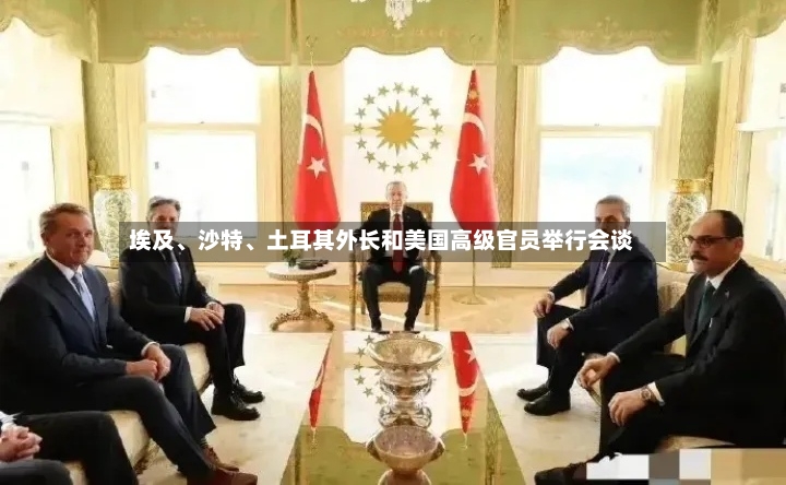 埃及、沙特	、土耳其外长和美国高级官员举行会谈-第2张图片