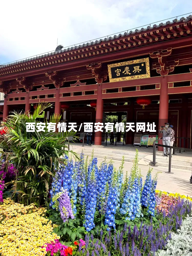 西安有情天/西安有情天网址