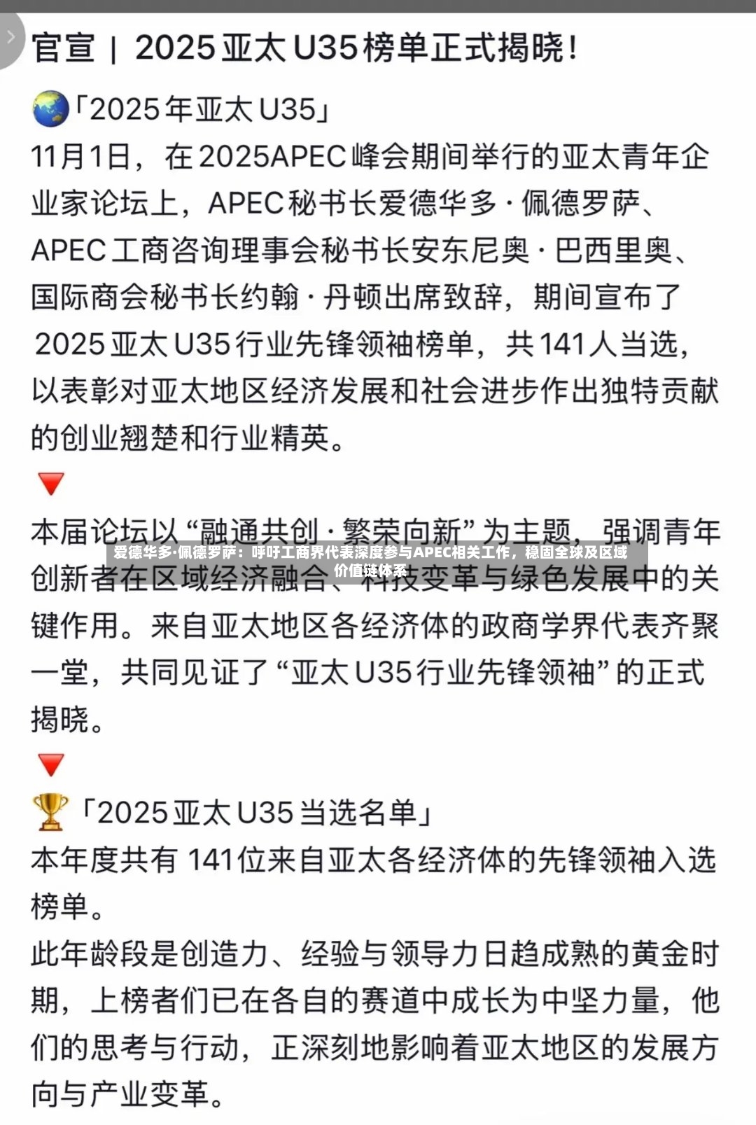 爱德华多·佩德罗萨：呼吁工商界代表深度参与APEC相关工作，稳固全球及区域价值链体系-第3张图片