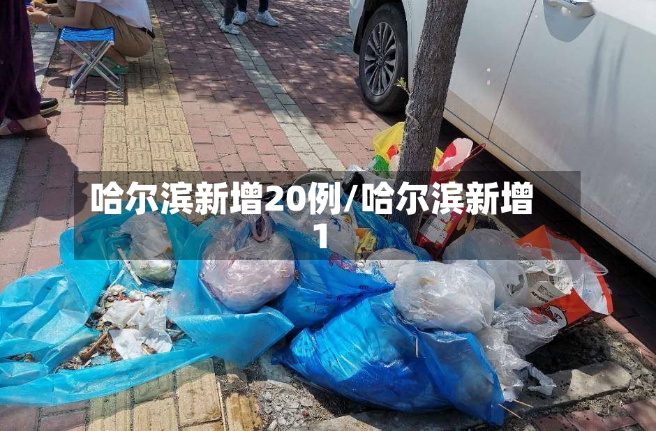 哈尔滨新增20例/哈尔滨新增1-第3张图片