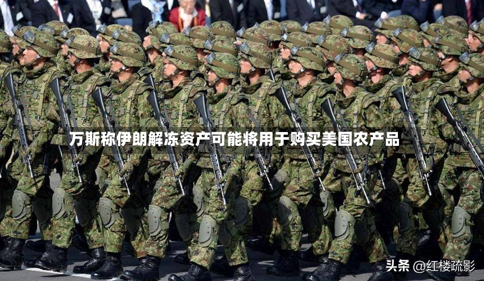 万斯称伊朗解冻资产可能将用于购买美国农产品