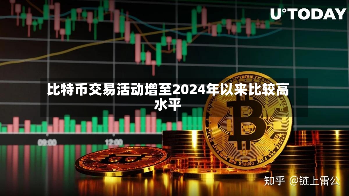 比特币交易活动增至2024年以来比较高水平-第2张图片