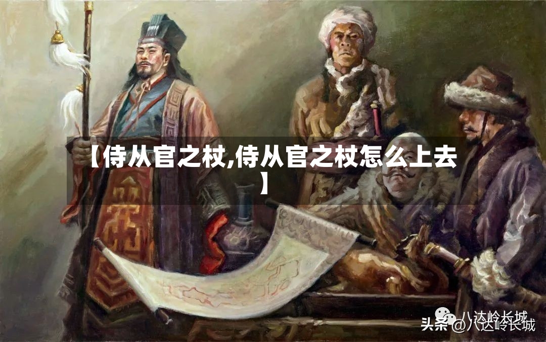【侍从官之杖,侍从官之杖怎么上去】