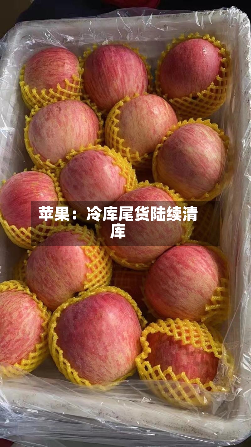 苹果：冷库尾货陆续清库-第2张图片