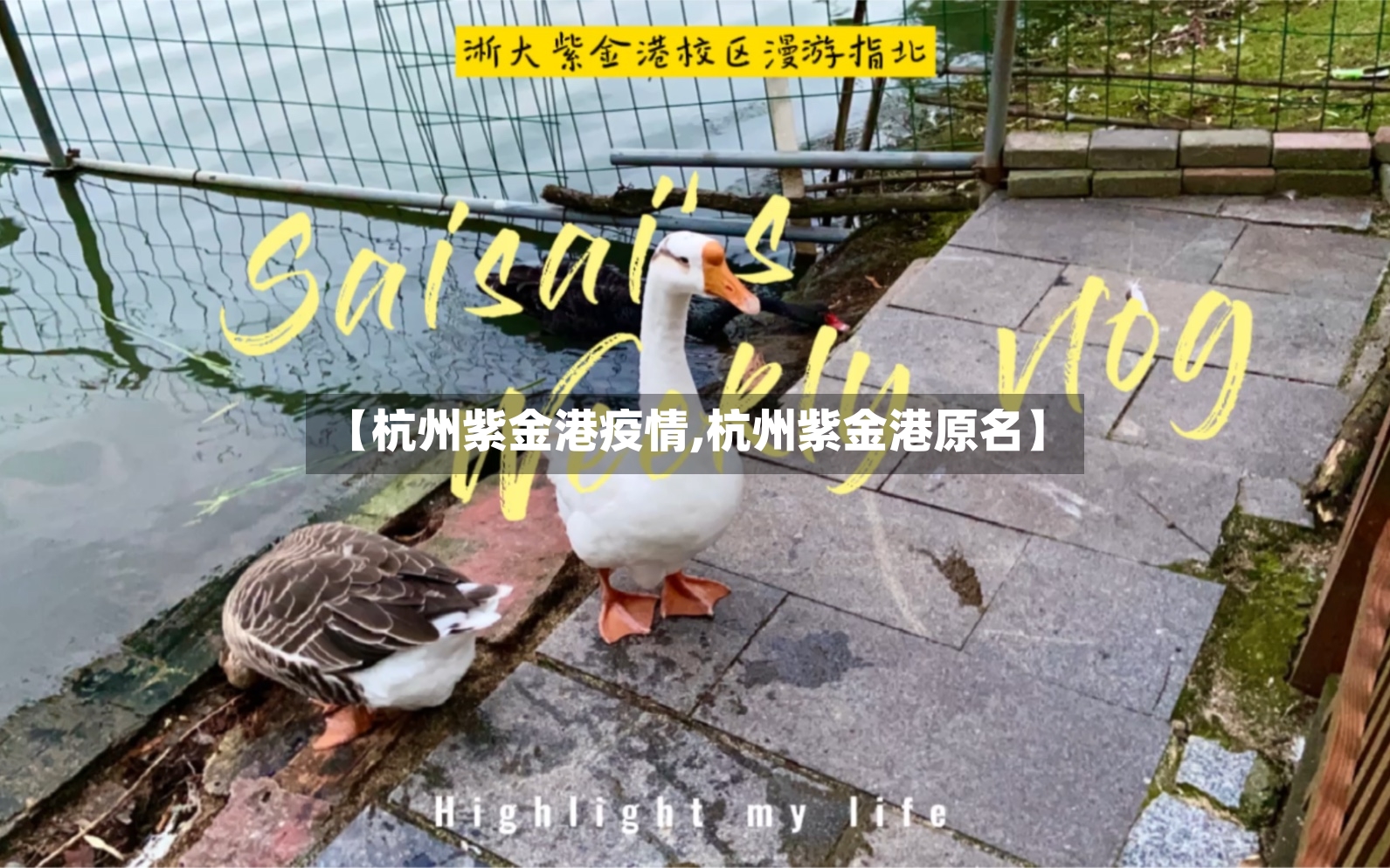 【杭州紫金港疫情,杭州紫金港原名】