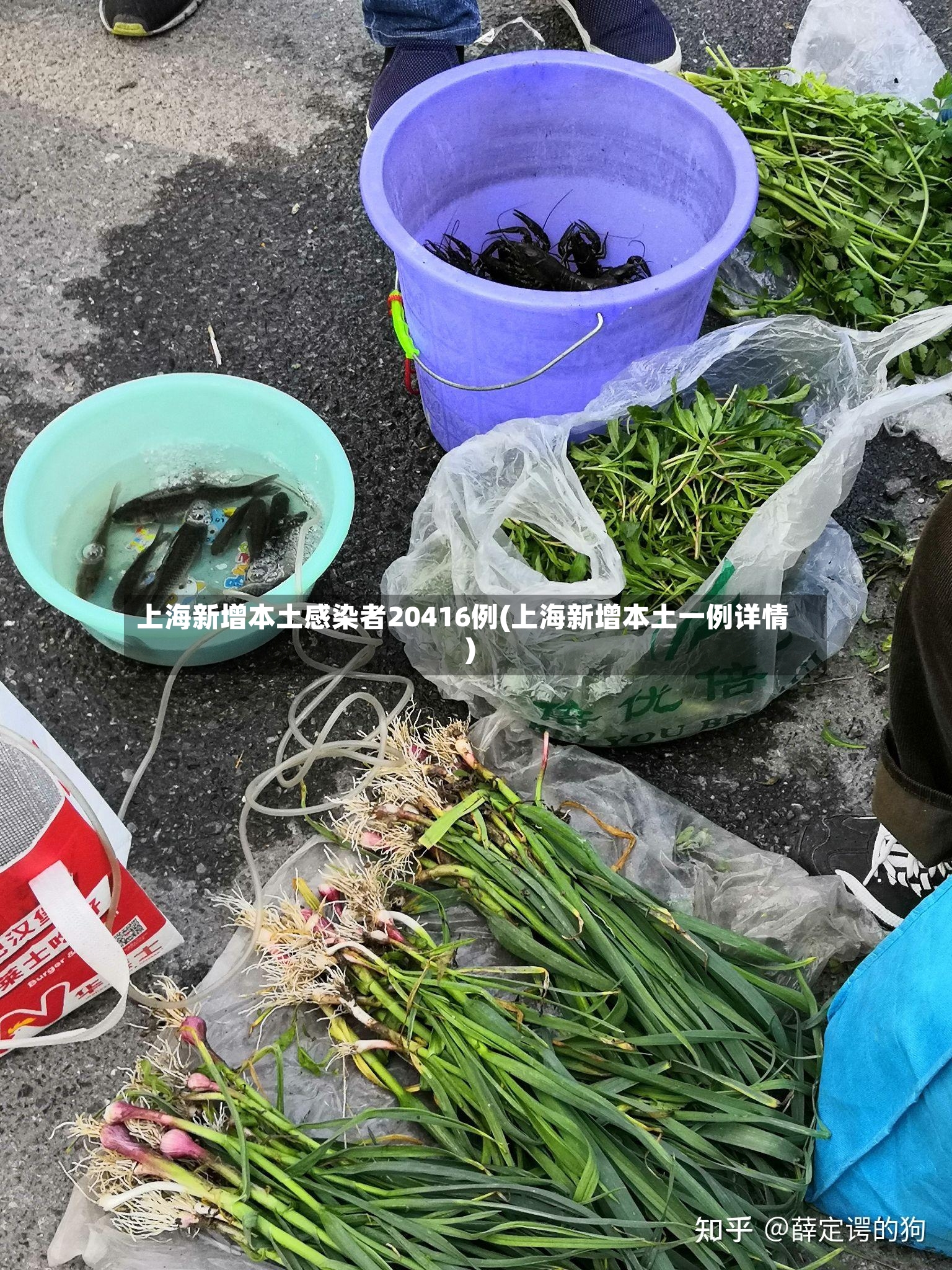 上海新增本土感染者20416例(上海新增本土一例详情)-第2张图片
