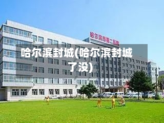 哈尔滨封城(哈尔滨封城了没)-第2张图片
