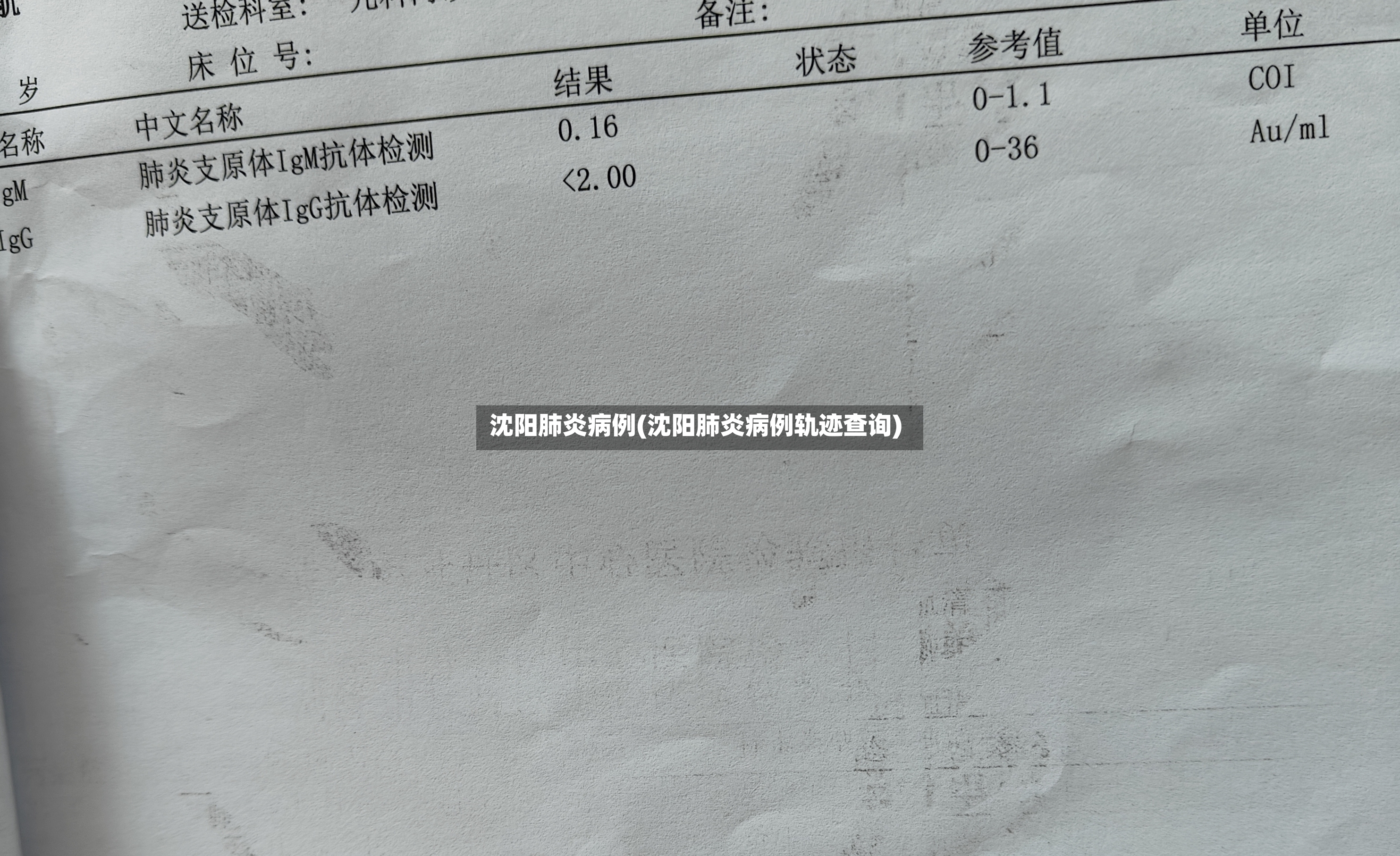 沈阳肺炎病例(沈阳肺炎病例轨迹查询)-第3张图片