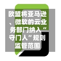 欧盟将亚马逊、微软的云业务部门纳入“守门人”规则监管范围-第2张图片