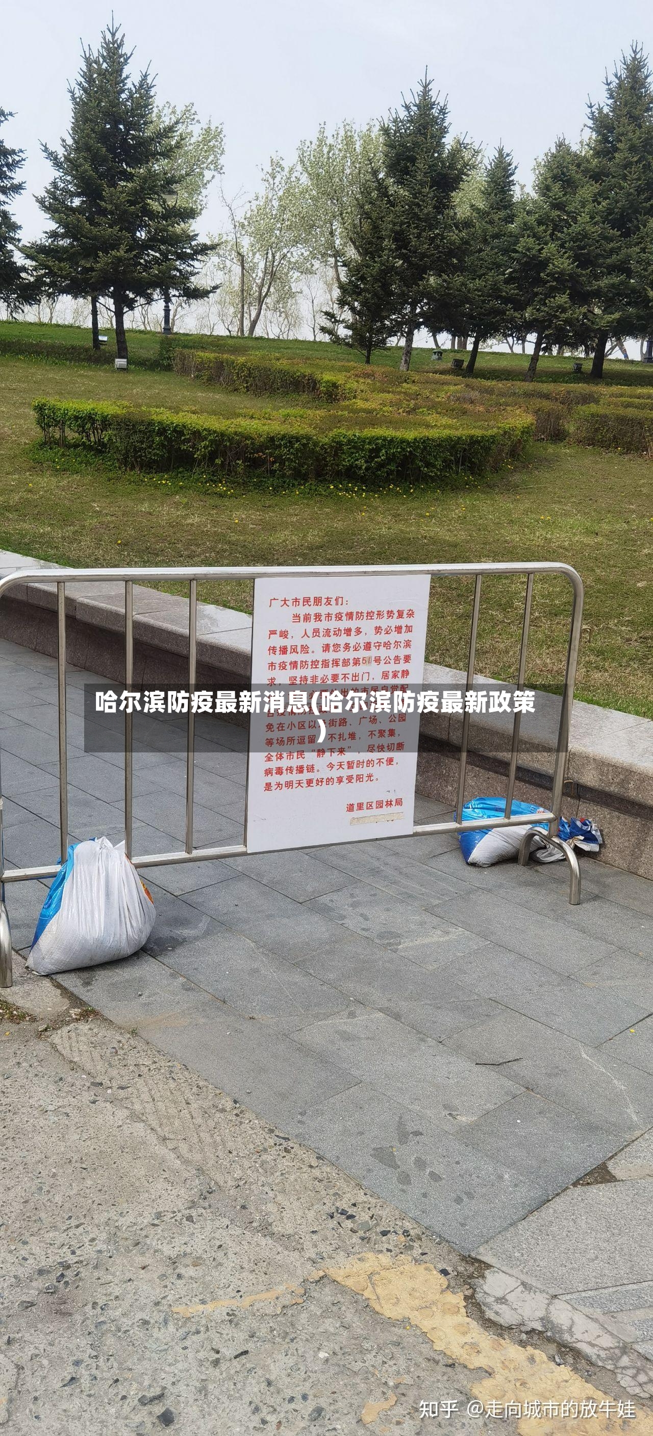 哈尔滨防疫最新消息(哈尔滨防疫最新政策)