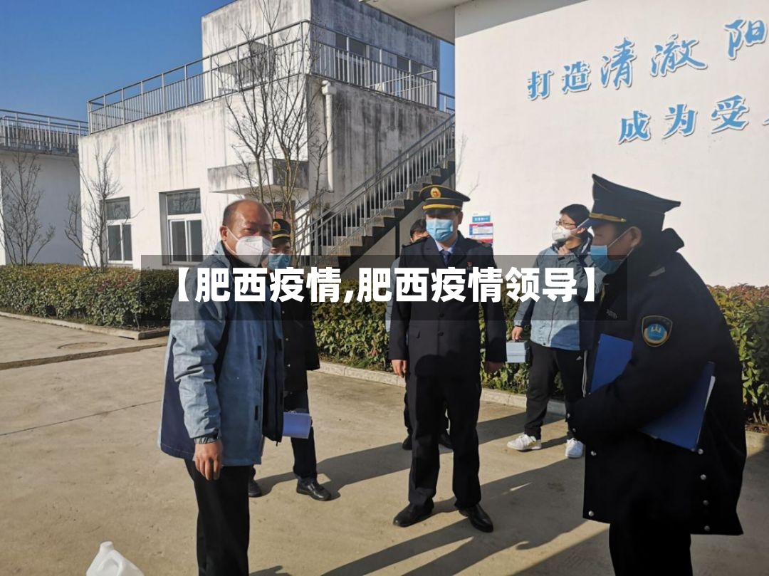 【肥西疫情,肥西疫情领导】